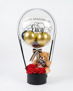 Decorative balloon with gold balloons, teddy bear, and red roses inside a clear dome, full view