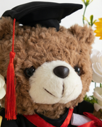 Graduation-themed teddy bear with flowers in a clear gift bag, teddy bear slight side angle close up
